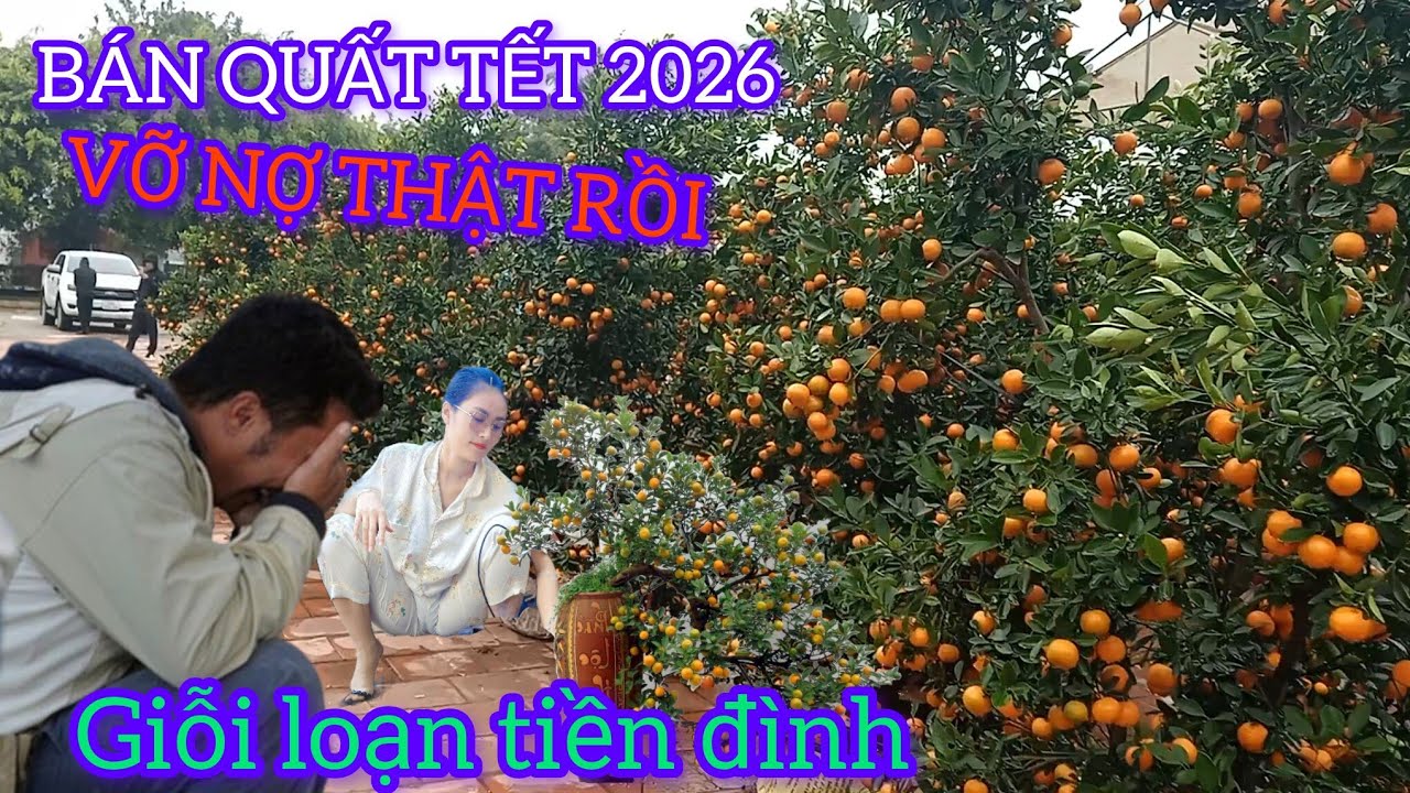 CHỢ QUẤT TẾT VĂN GIANG 1000 NGƯỜI XEM 1 NGƯỜI MUA GIỖI LOẠN TIỀN ĐÌNH 