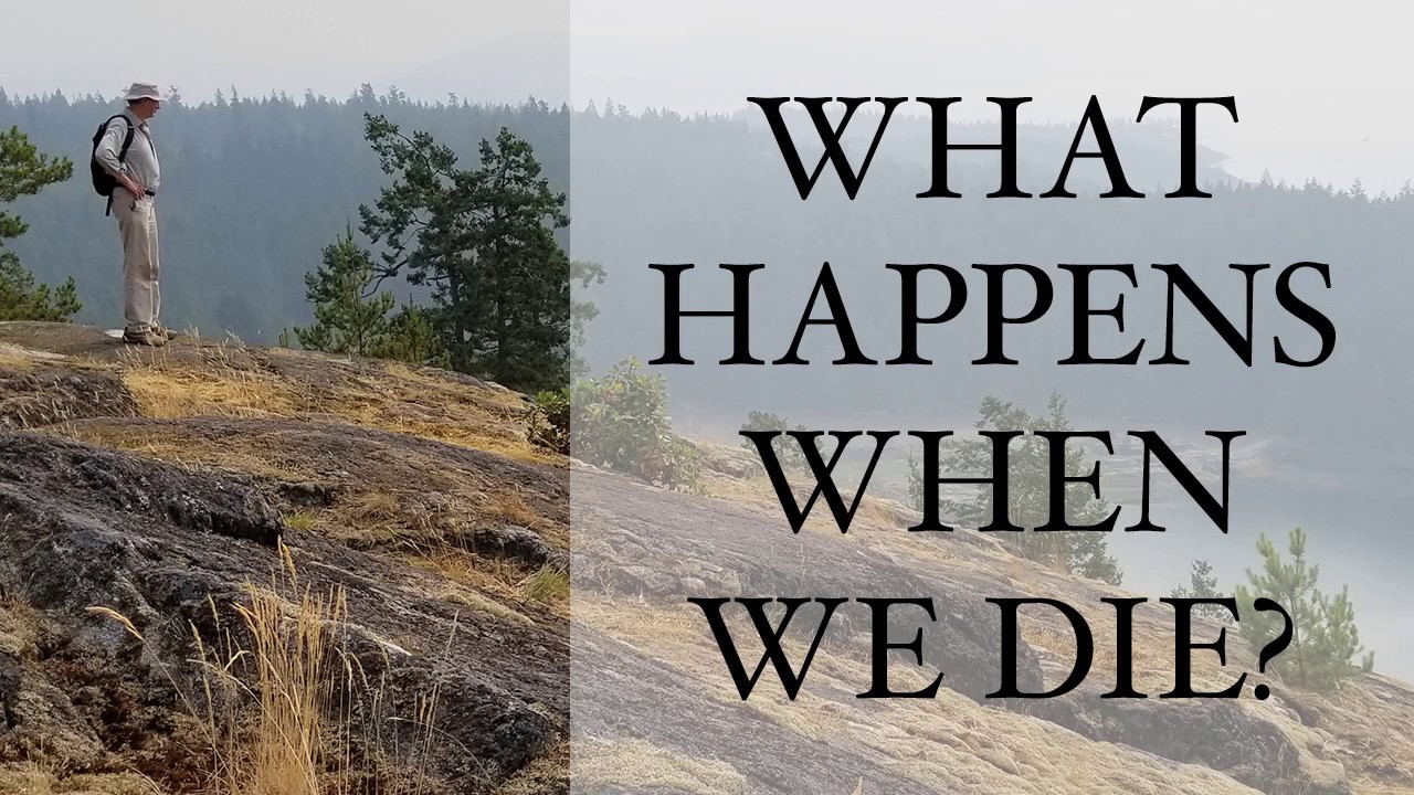 What happens when we die? Rupert Sheldrake