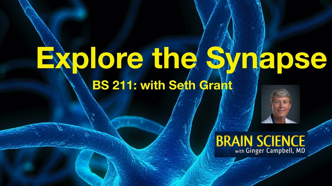 BS 211 Molecular Biologist Seth Grant