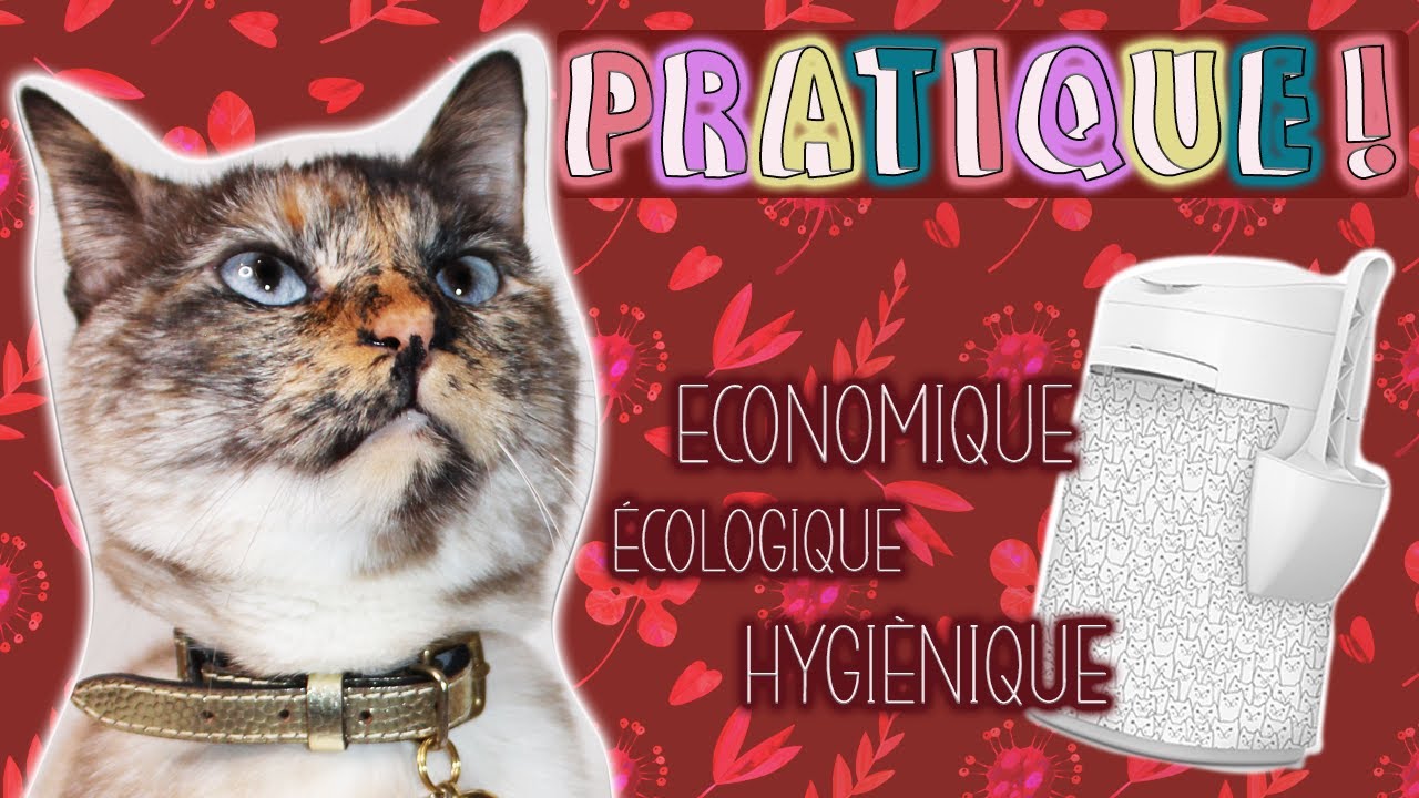 TESTE de La Poubelle à Litière 😸  |  LITTERLOCKER FASHION
