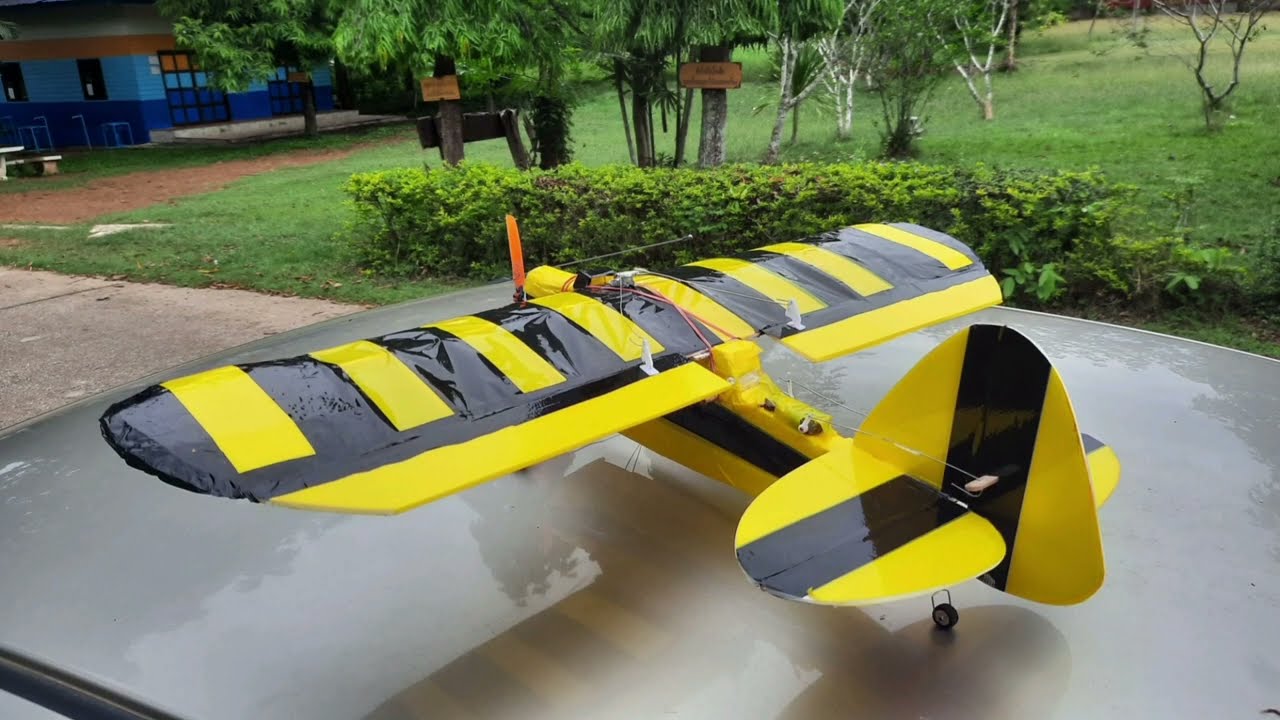 Little Bee RC Plane. Lazy Bee RC Plane. Slowly Rc Plane.