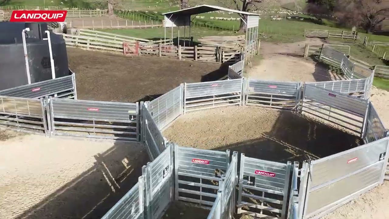 Different Options for all Sheep Farmers
