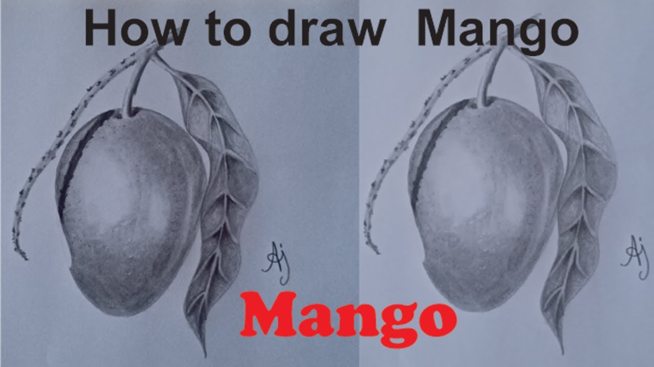 Draw a STUNNING realistic mango with These Easy Pencil Sketch Steps