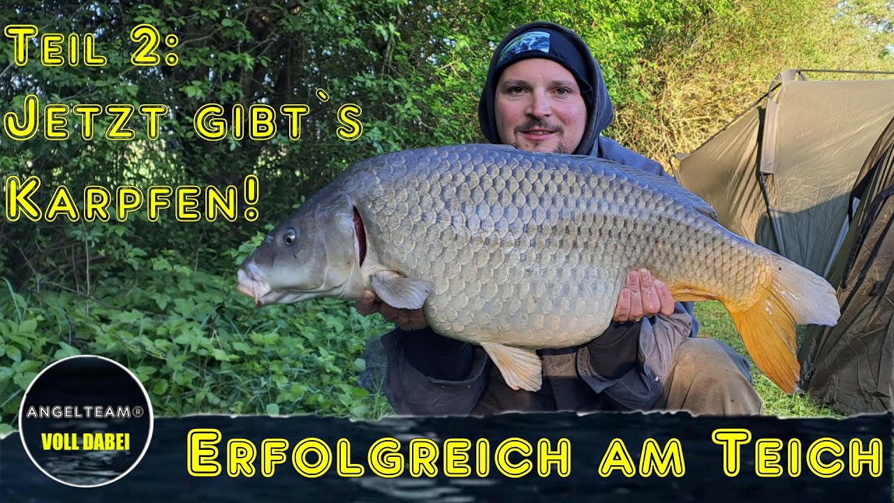 Erfolgreich am Teich Teil 2: Jetzt gibt's Karpfen