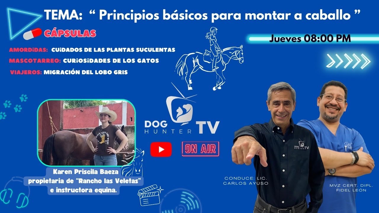 PRINCIPIOS BÁSICOS PARA MONTAR UN CABALLO