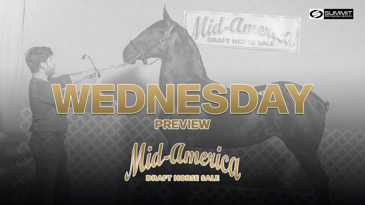 2026 Mid-America Draft Horse Sale - Wednesday. Preview of all sale horses.