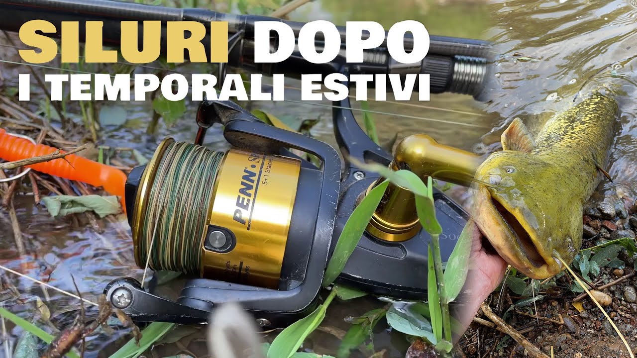 SILURI a spinning dopo i TEMPORALI ESTIVI! ⚡