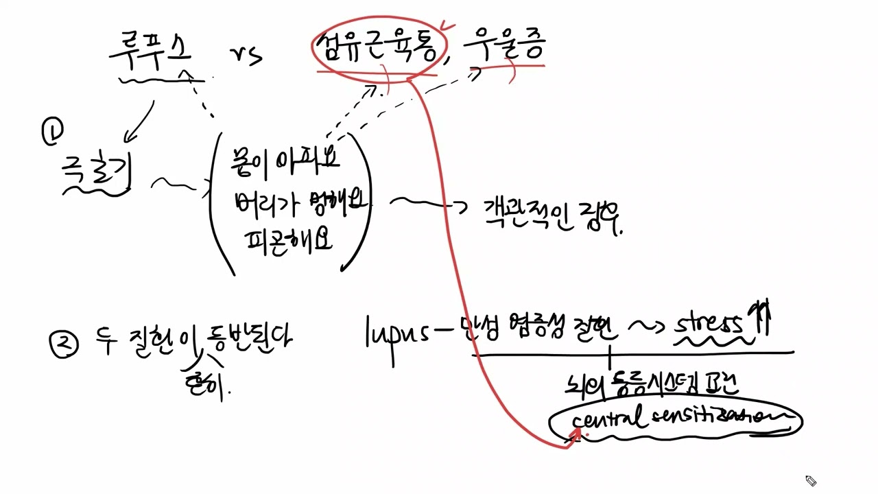 lupus26 - 루푸스 vs 섬유근육통, 우울증