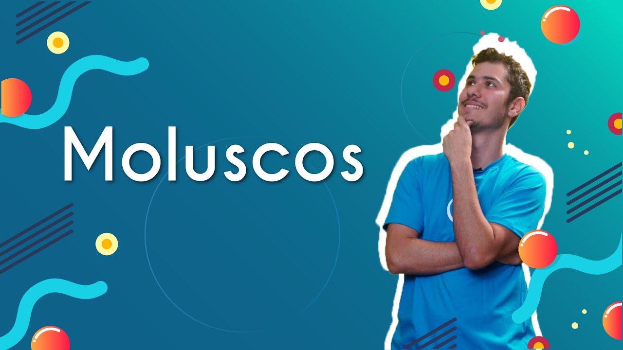 Moluscos - Brasil Escola