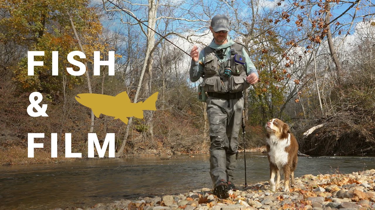 Fishing Fall Streamers -- Fish and Film