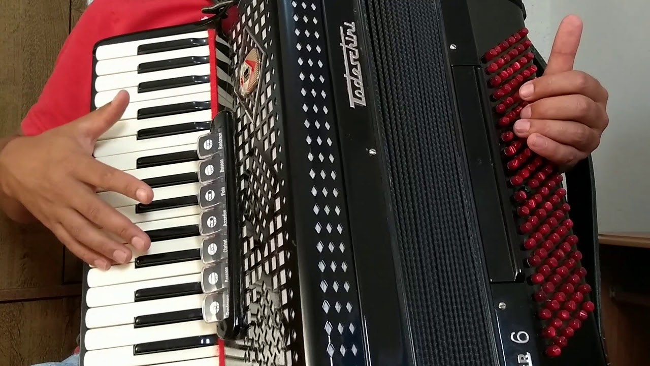 Vídeo aula Acordeon Nossa Vaneira 