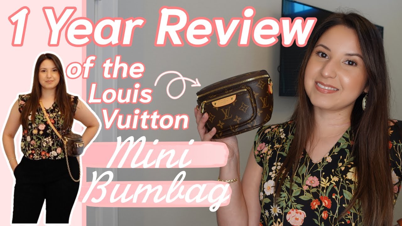 Louis Vuitton Mini Bumbag - 1 Year Review & Mod Shots