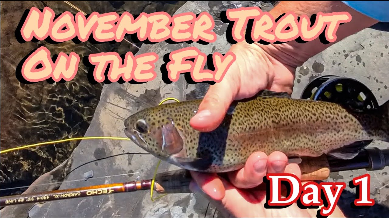 November Trout on the Fly - Day 1