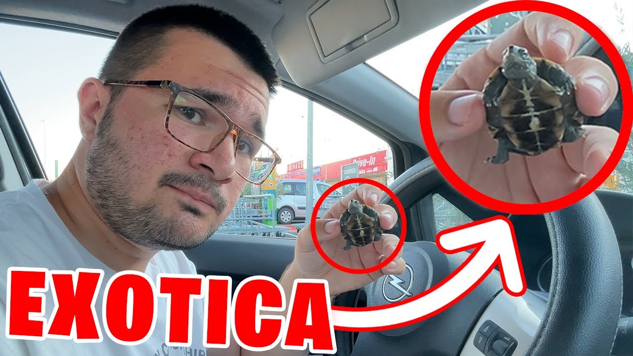 MI NUEVA TORTUGA EXOTICA