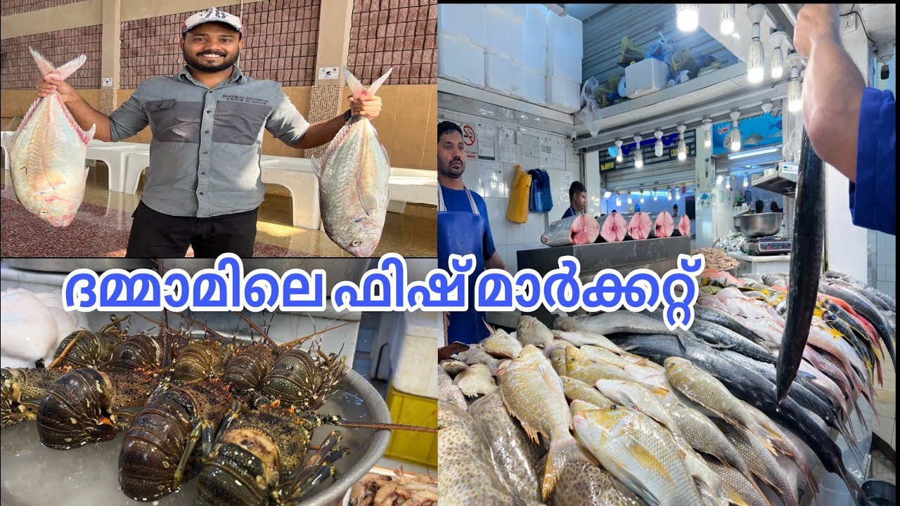 ദമ്മാമിലെ ഫിഷ് മാർക്കറ്റ്🤩//Dammam Fish Market