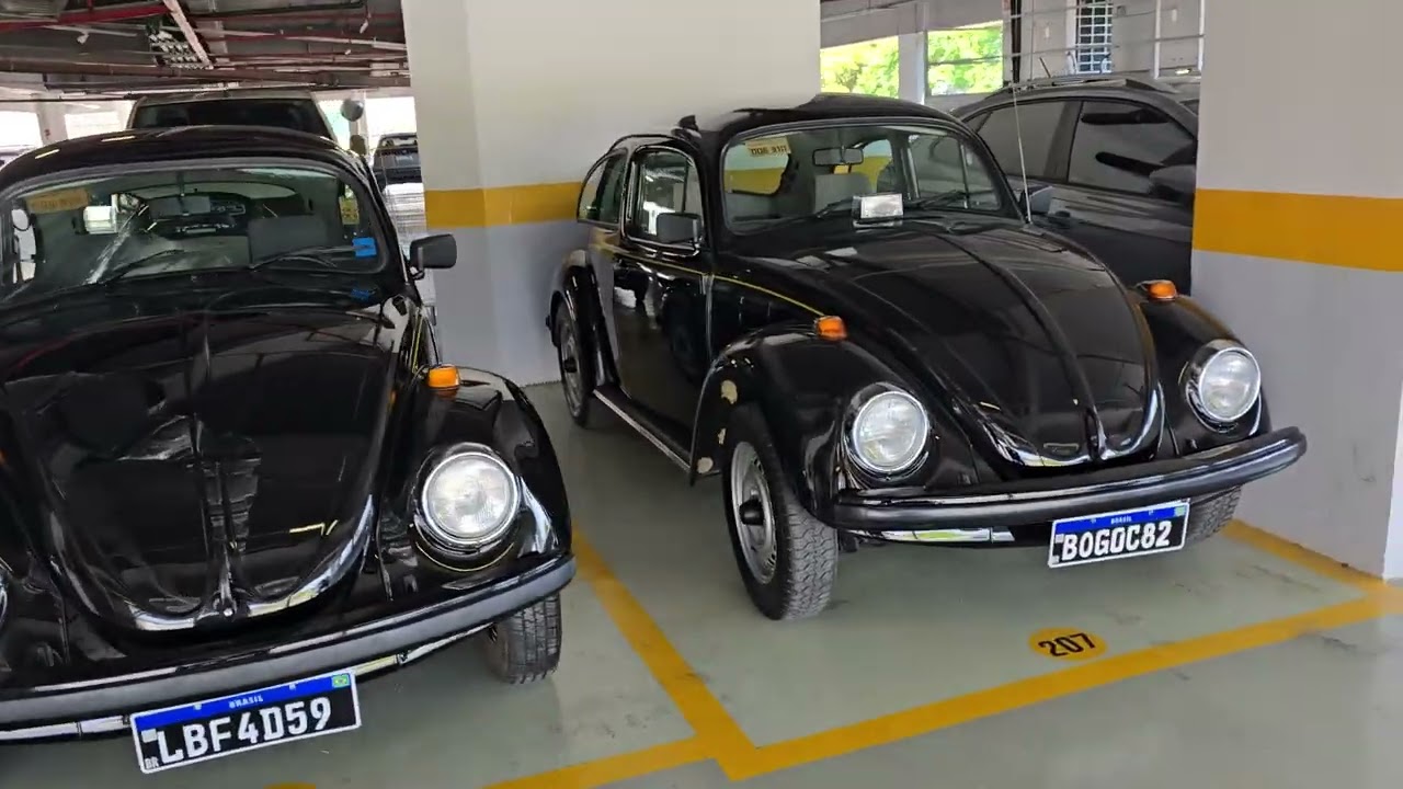 Fuscão Preto