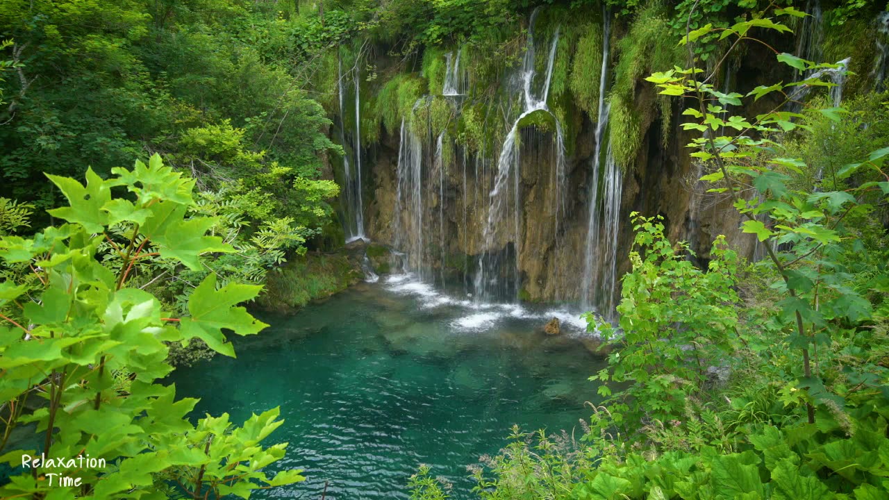 Piano And Nylon Guitar Relaxation Music With Sound Of Forest,Relaxation Time