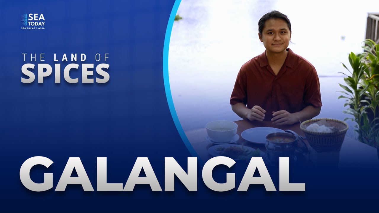 Земля специй: галангал