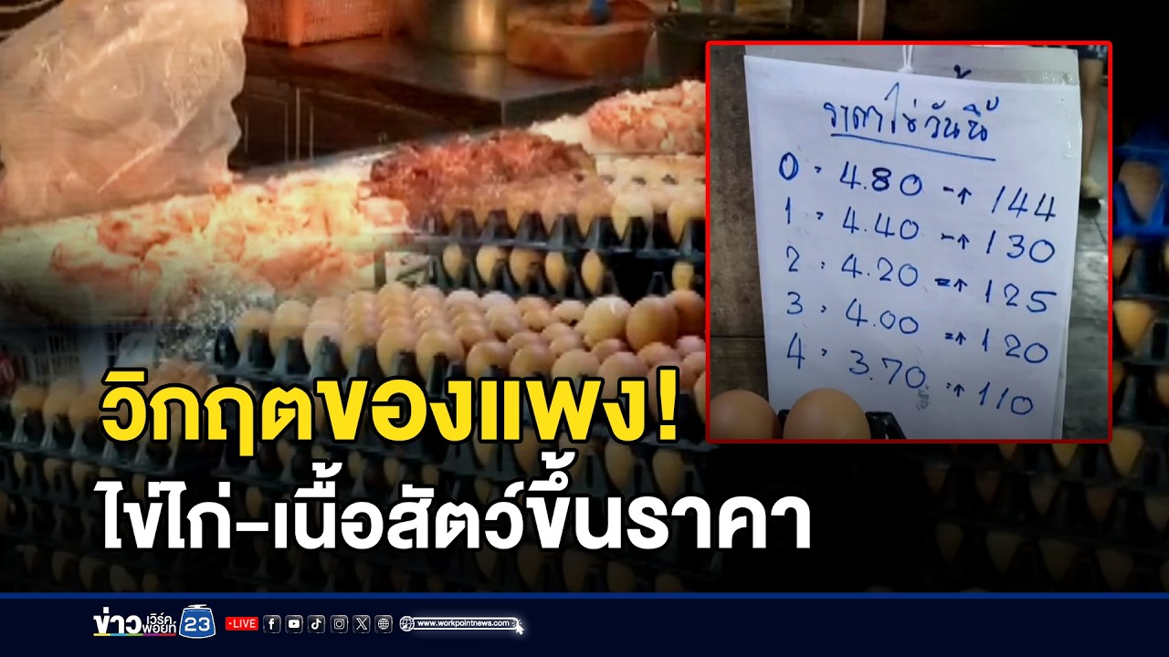 ไข่ไก่-ของสดขึ้นราคา ร้านอาหารตรึงราคาเดิม l ข่าวเที่ยงเวิร์คพอยท์ l 17 มี.ค.69
