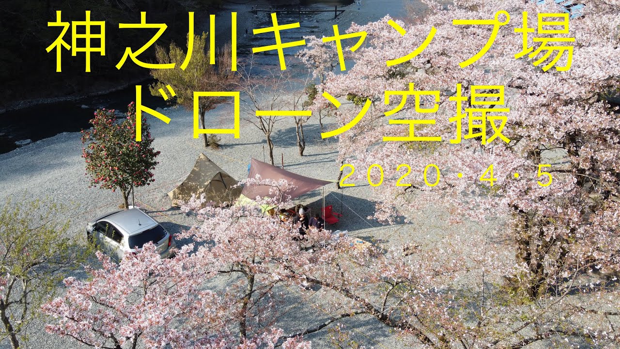 神之川キャンプ場　桜満開　ドローン空撮