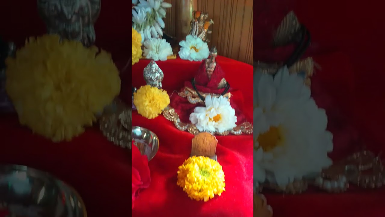 Daily puja#swamiseva#youtubeshort #shots #shotsviral