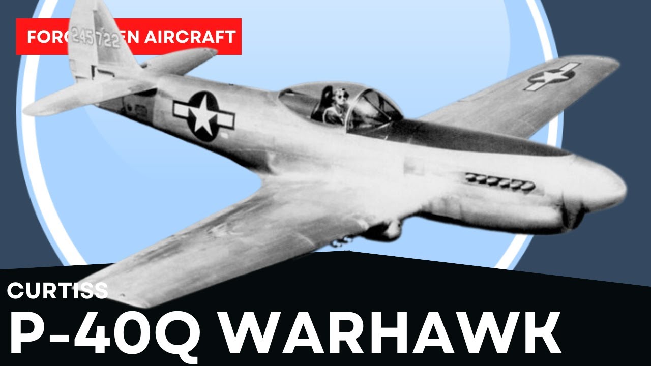 Curtiss XP-40Q; Когда «Мустанг» и «Боевой ястреб» очень любят друг друга…