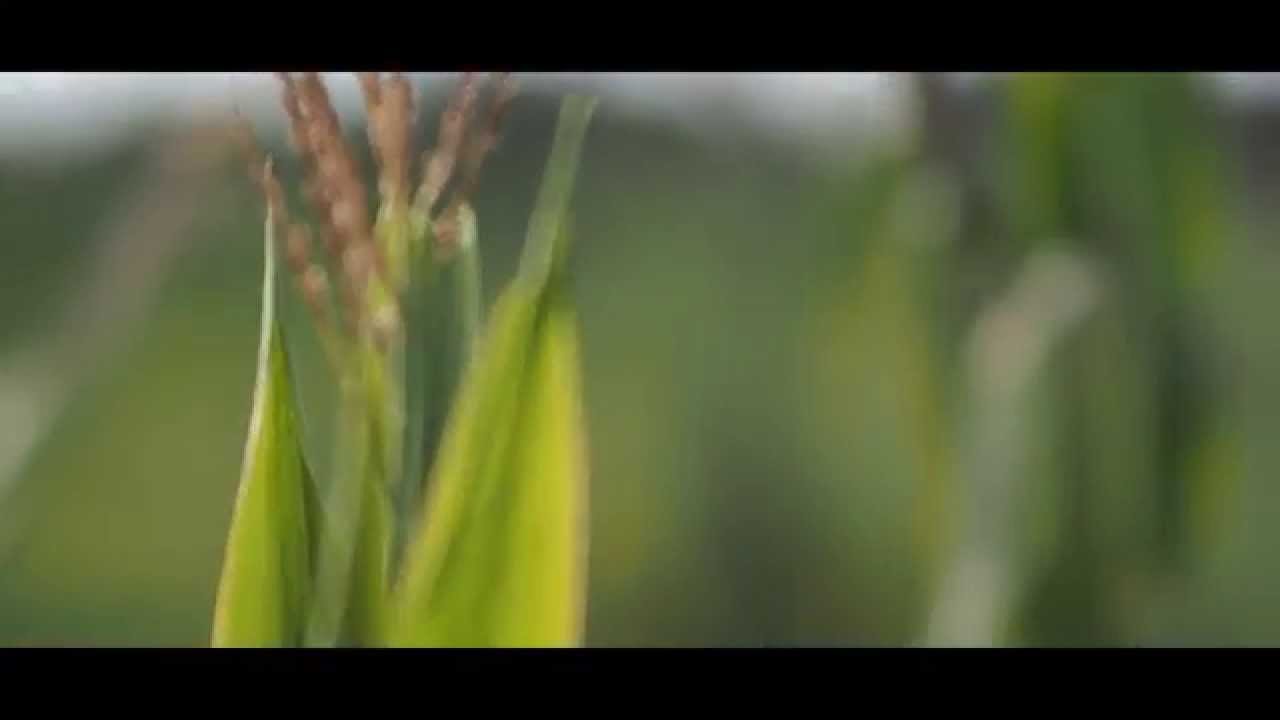 Rokinon 85mm f1.4 with Olympus OMD EM5 video and samples.