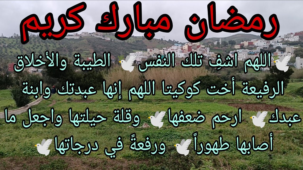 كلونا مع سنذوس  الصغيرة ربي إشوف من حالهم 🥹