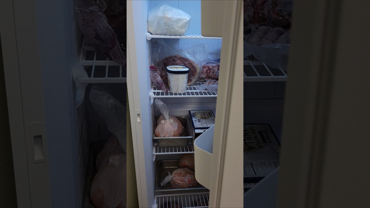 👍Best Freezer Money can Buy