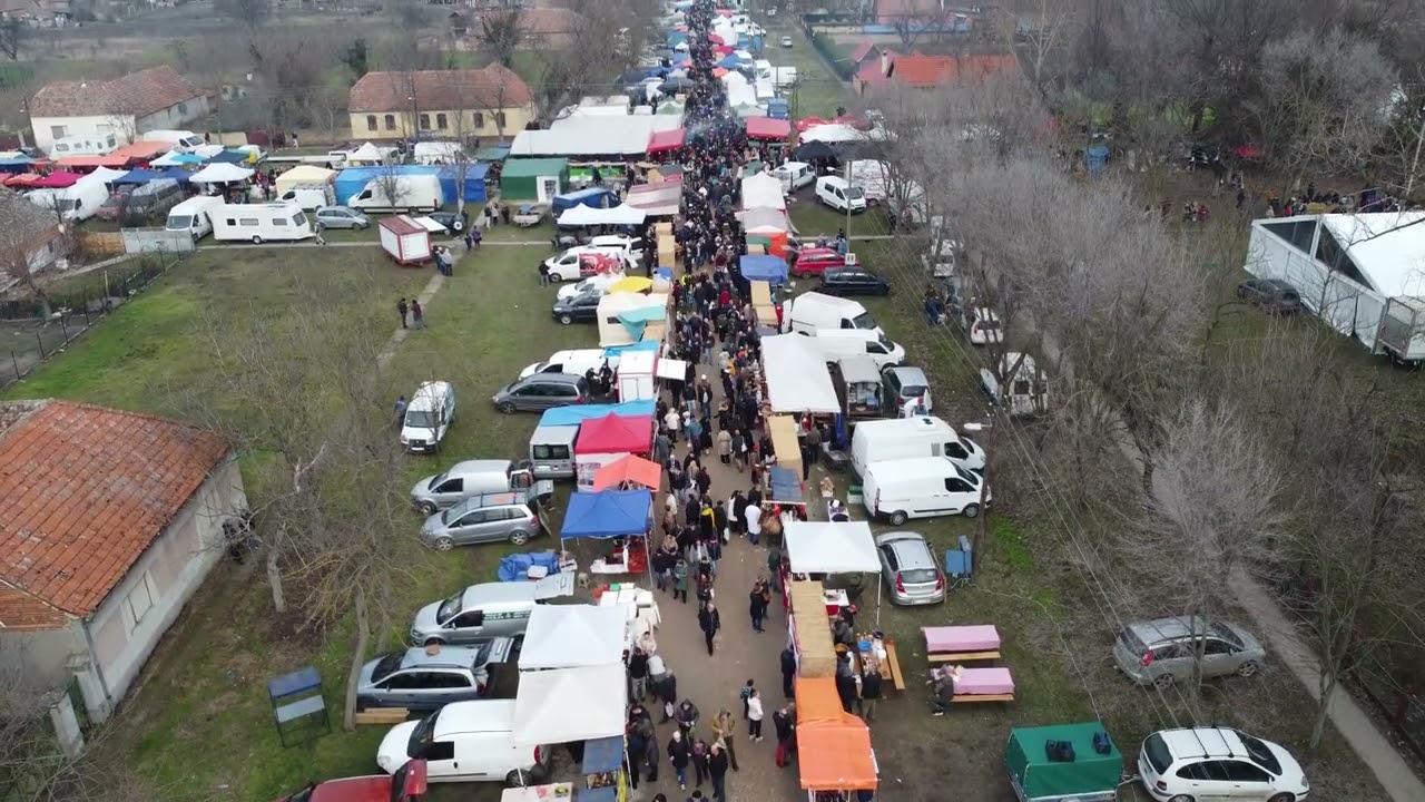 Iz oka sokola   Beloblatska kobasica 2026