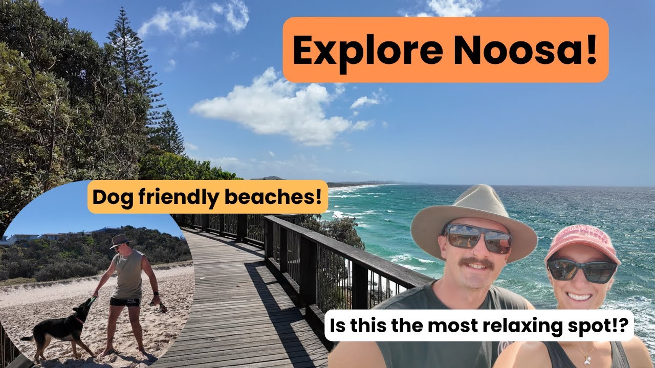 Let’s explore Noosa! | Brewery’s | Dog friendly beaches