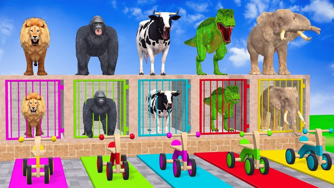 Long Slide Game With Cow Elephant Gorilla Hippopotamus Tiger - 3d Animal Game - Funny 3d Animals