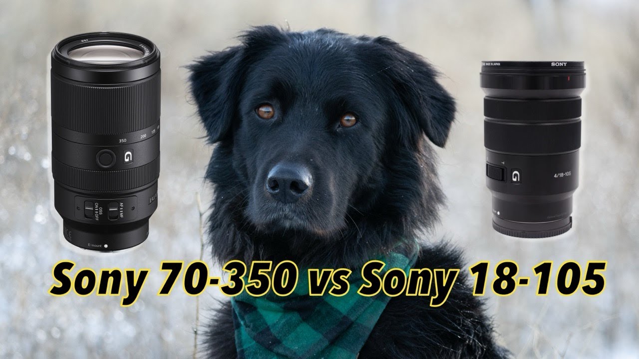 Sony 70-350 vs  Sony 18-105 Lens Comparison