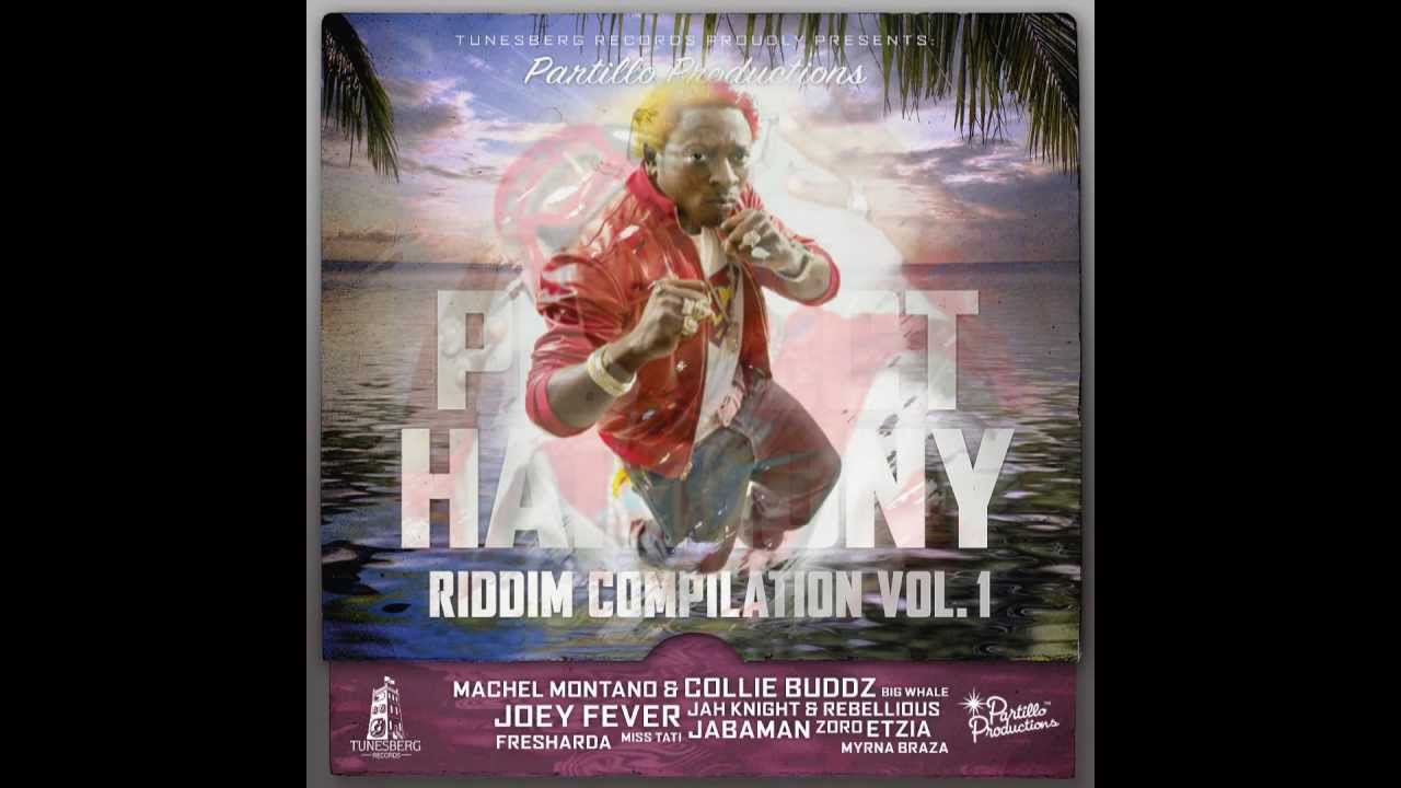 PERFECT HARMONY MEGA REMIX PART2 MAY 2011 Shakira Sean Paul Buju Banton Beenieman Capleton & MORE
