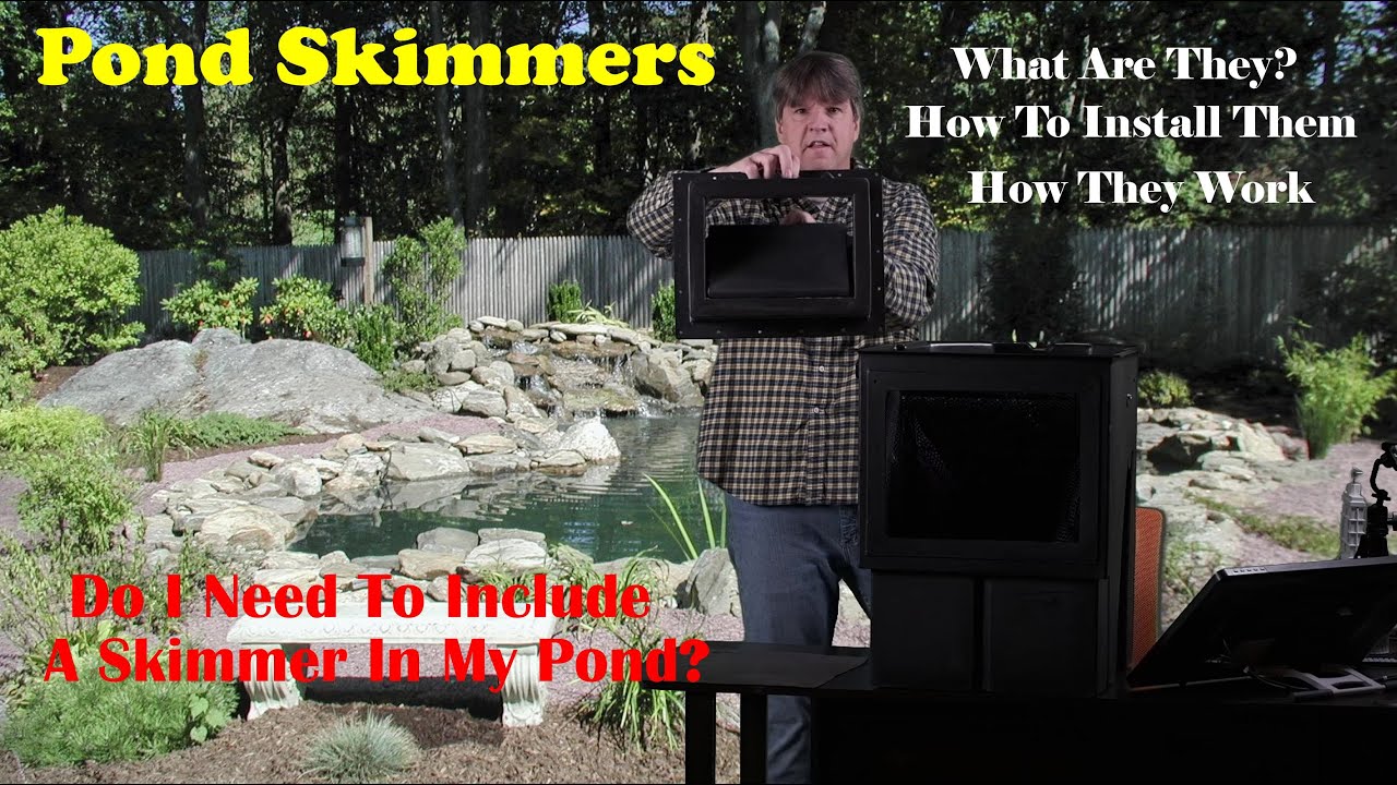 Pond Skimmers... What To Know
