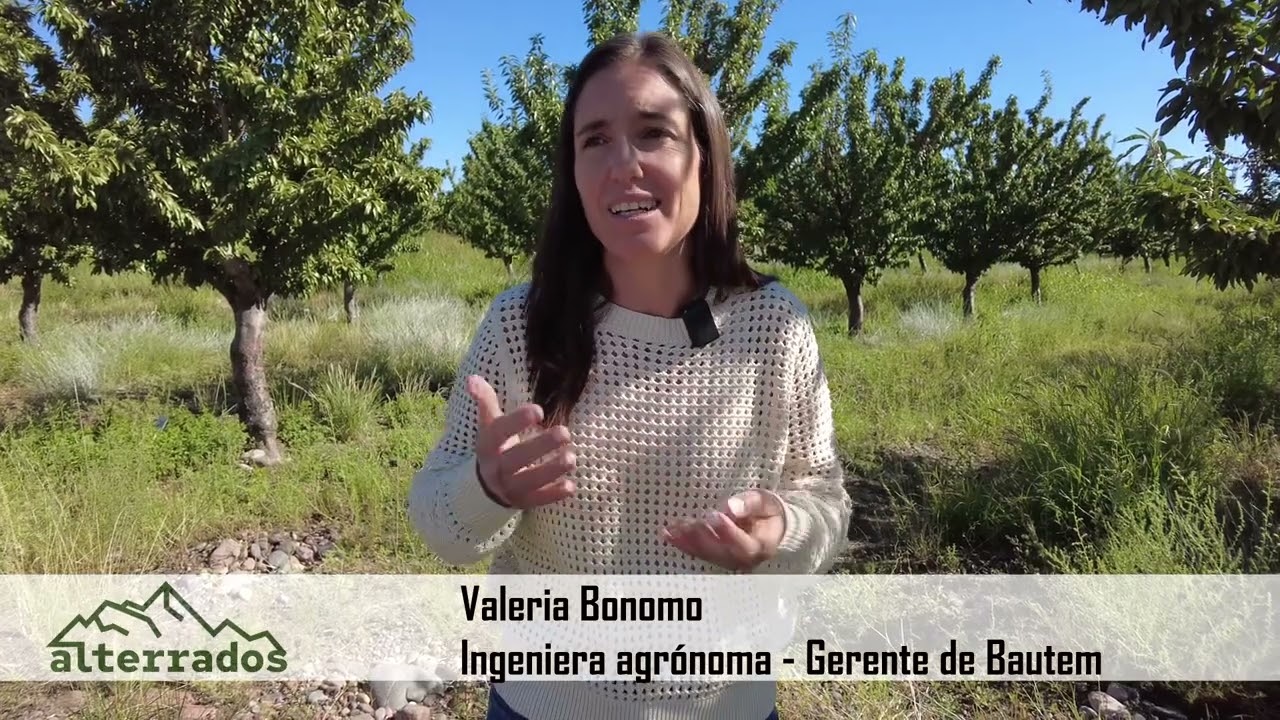 Almendra. Un fruto seco con gran futuro en Mendoza
