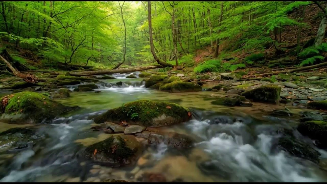 INSTANT PEACE: 8 Hours of Music That Melts Away Stress & Anxiety | Deep Sleep Aid & Focus