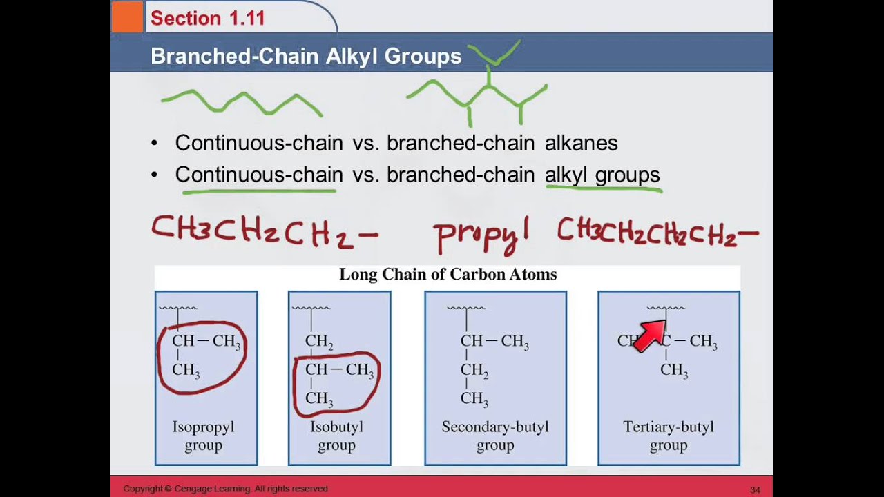 3B 1.11 Разветвленные алкильные группы
