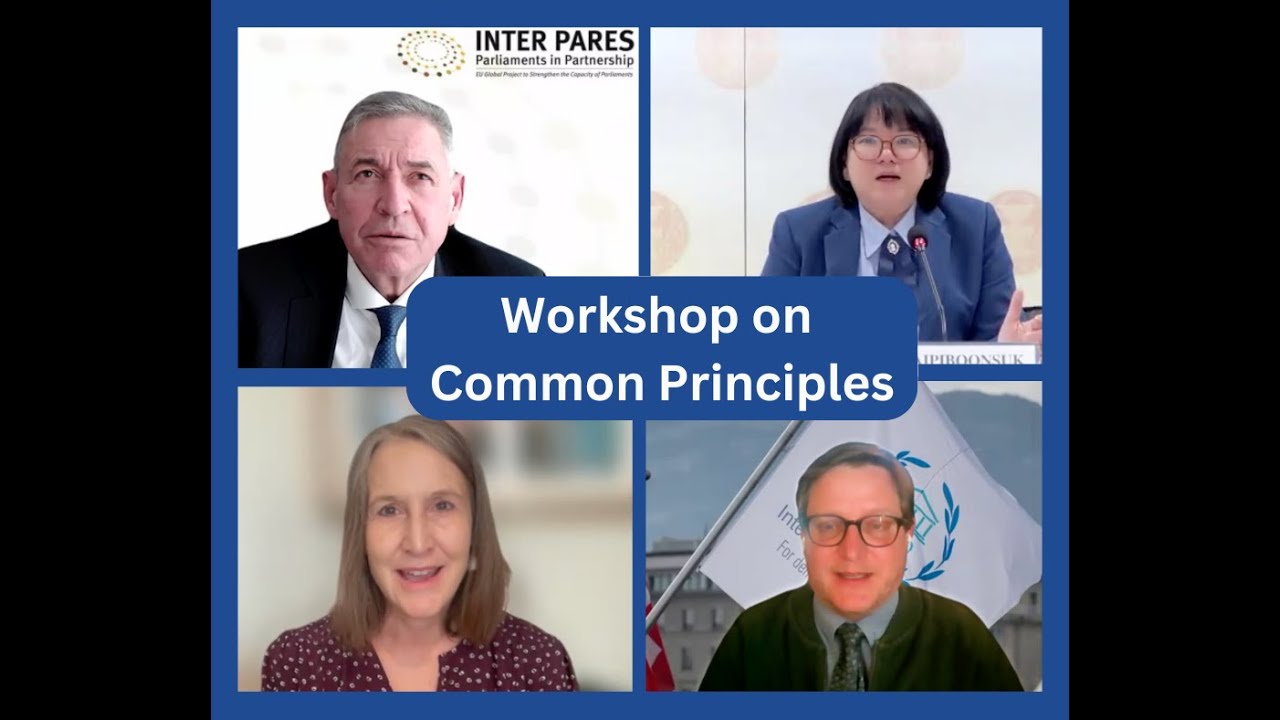 AGORA Community of Practice & the Inter-Parliamentary Union (IPU) workshop on the Common Principles