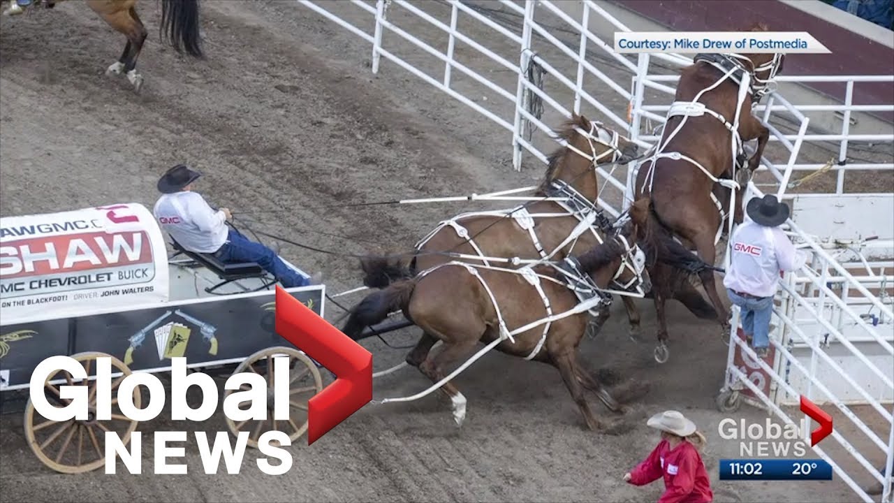Another horse injured at Calgary Stampede's 'half mile of hell'