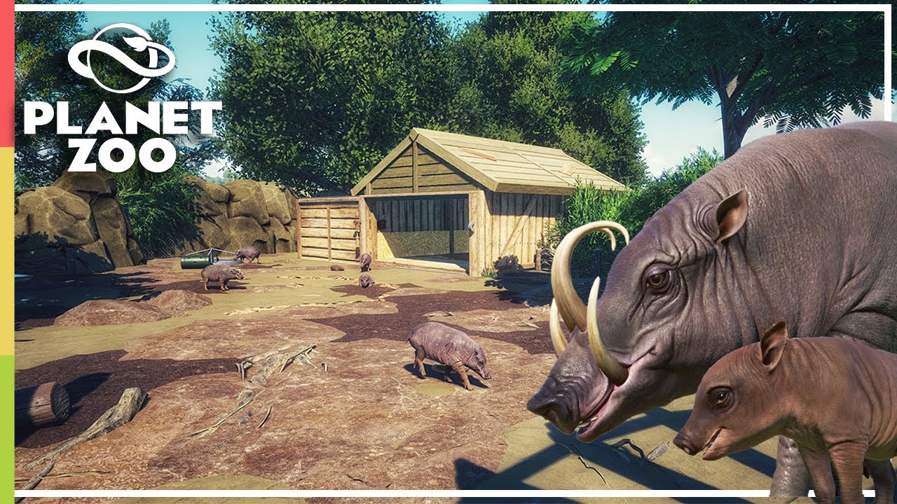 Mud, Mud, Glorious Mud!｜Babirusa Habitat - Speed Build [No Commentary]｜Planet Zoo