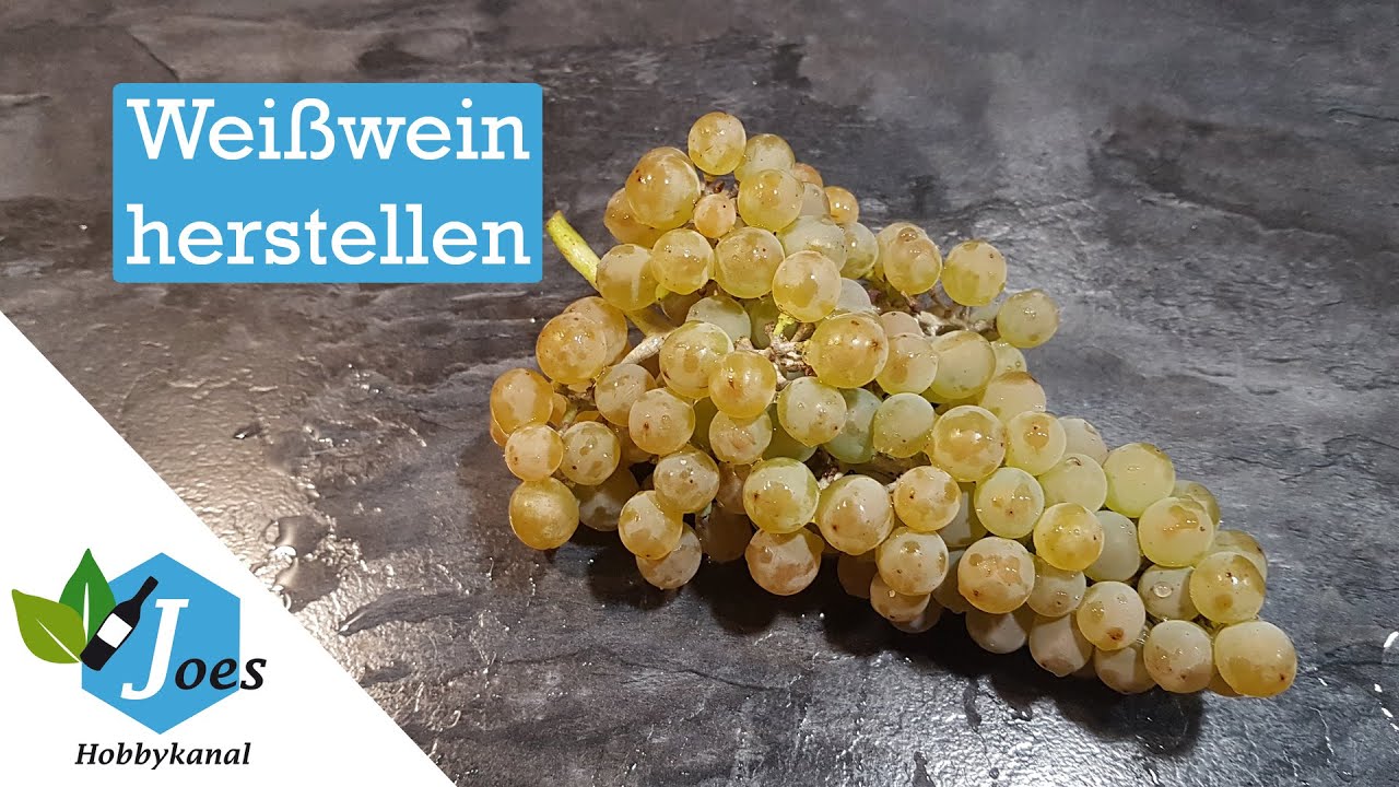 Weißwein selber machen | Wein aus eigenen Trauben herstellen
