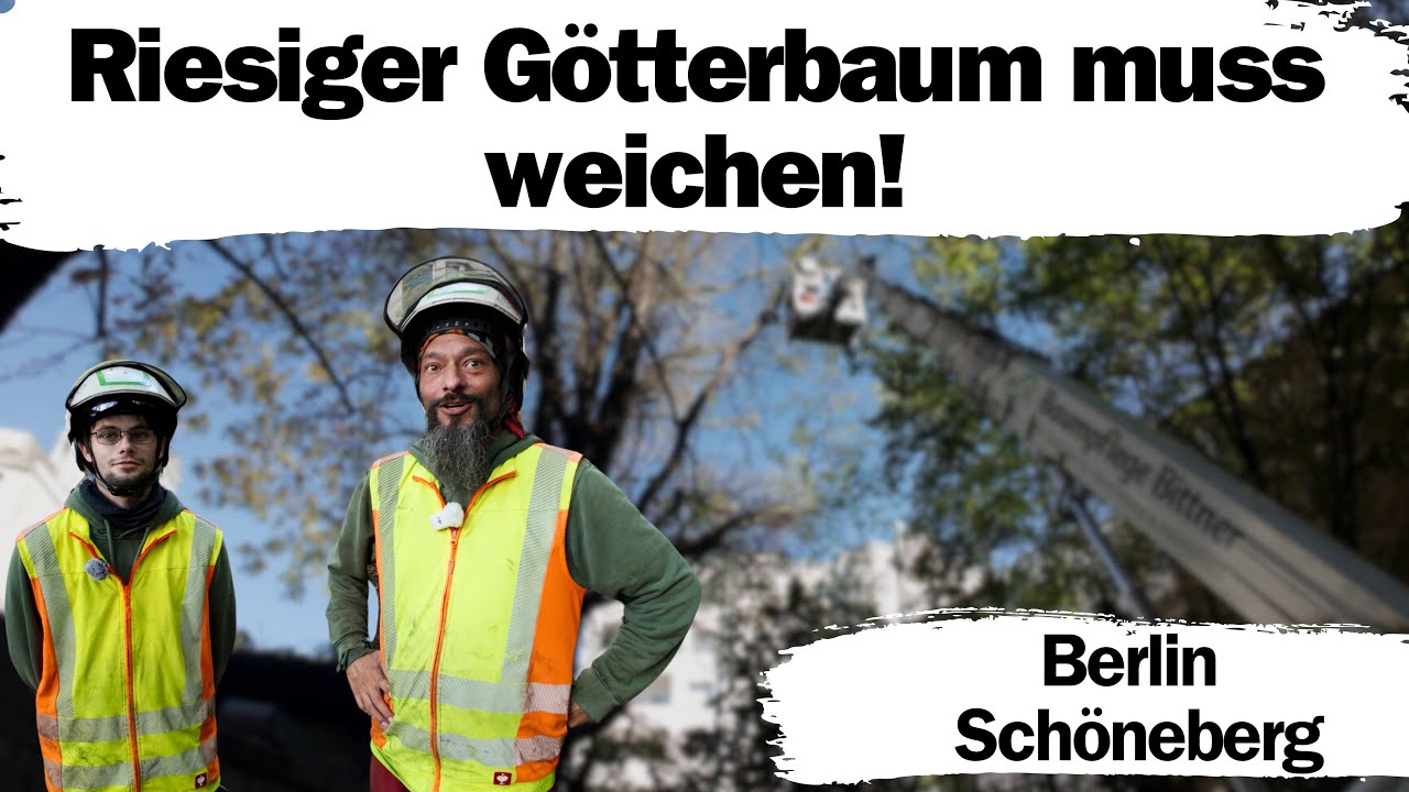 🌳 Компания Tree Care Bittner переезжает в Берлин! 🌳