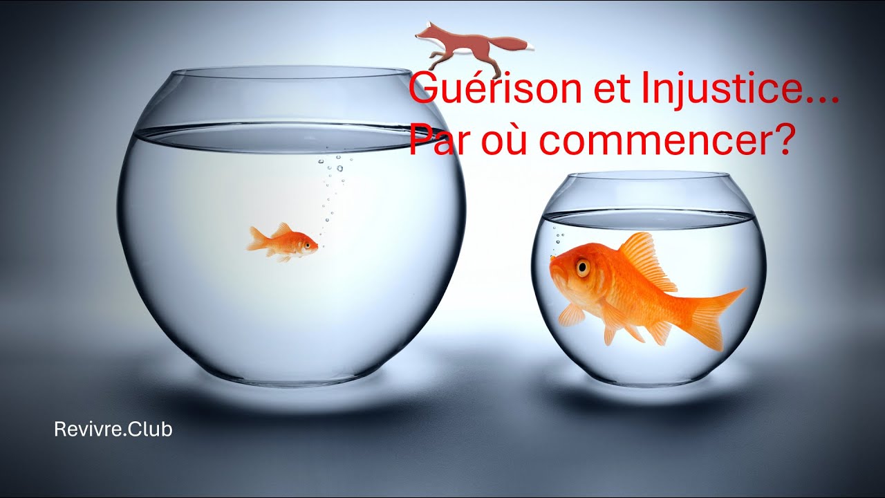 Relation Narcissique: Guérison et Injustice