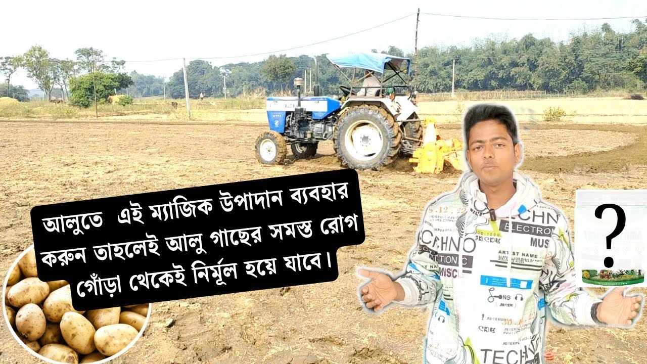 আলুর মাটি তৈরিতে চাপানের সঙ্গে এই ম্যাজিক উপাদান ব্যবহারে রোগের পরিমাণ একদমই কমিয়ে ফেলুন