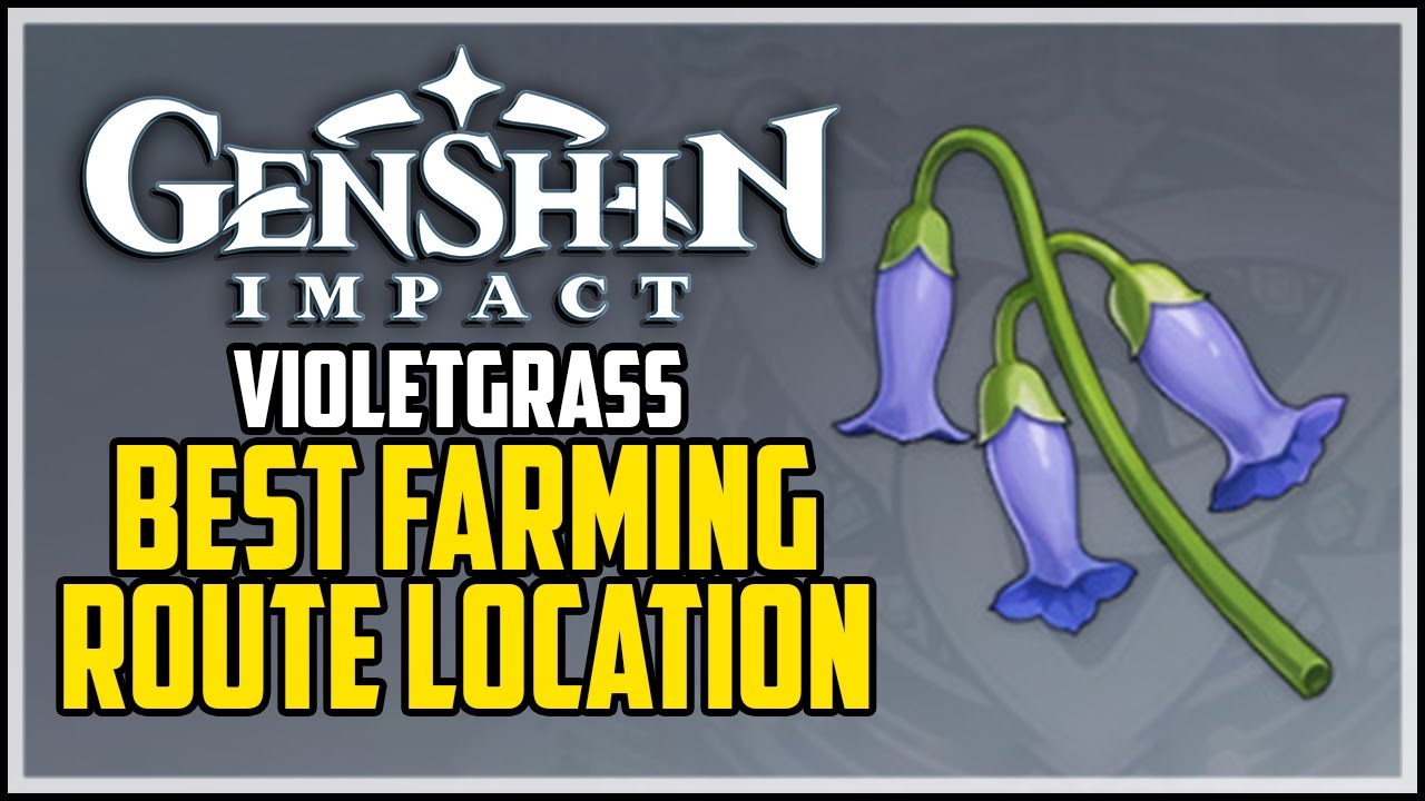 How to Get Violetgrass - Genshin Impact - Best Farming Route