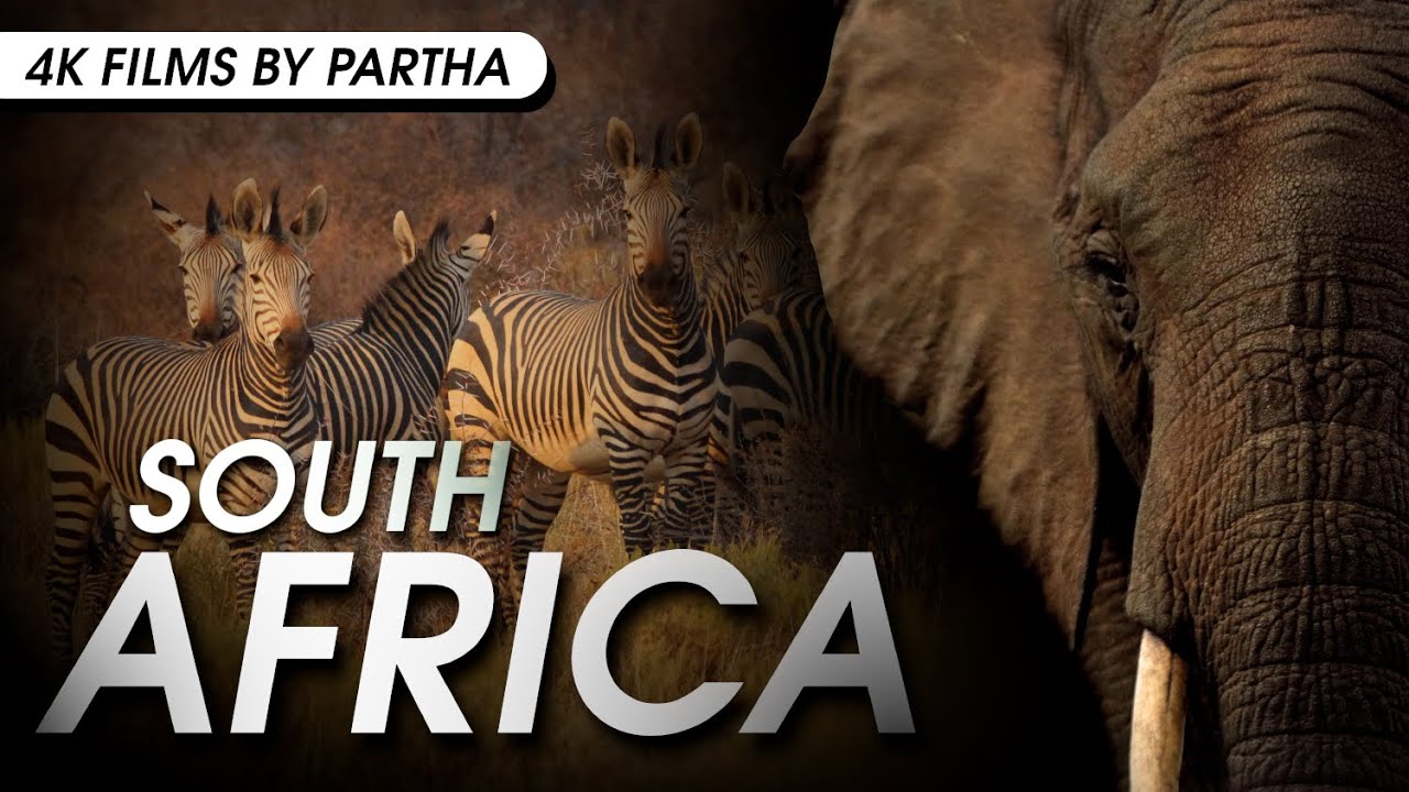 🇿🇦SOUTH AFRICA IS THE MOST VISUALLY STUNNING Country You've Never Seen!