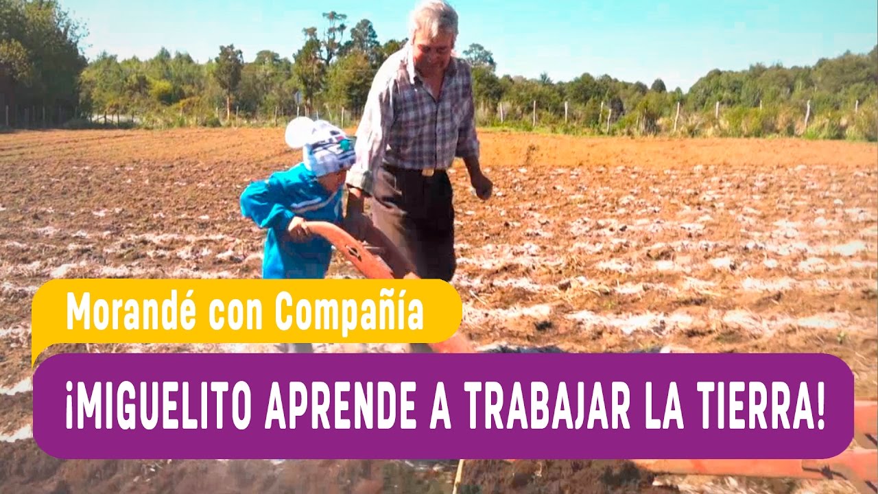 Miguelito aprende a trabajar la tierra - Morand&eacute; con Compa&ntilde;&iacute;a 2016