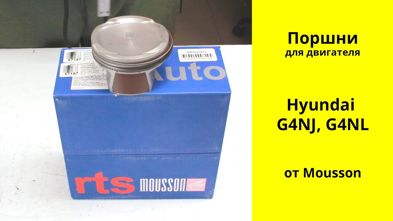 G4NL (2L) Hyundai поршни Mousson SPRG4NJSTD (23041-2J010)