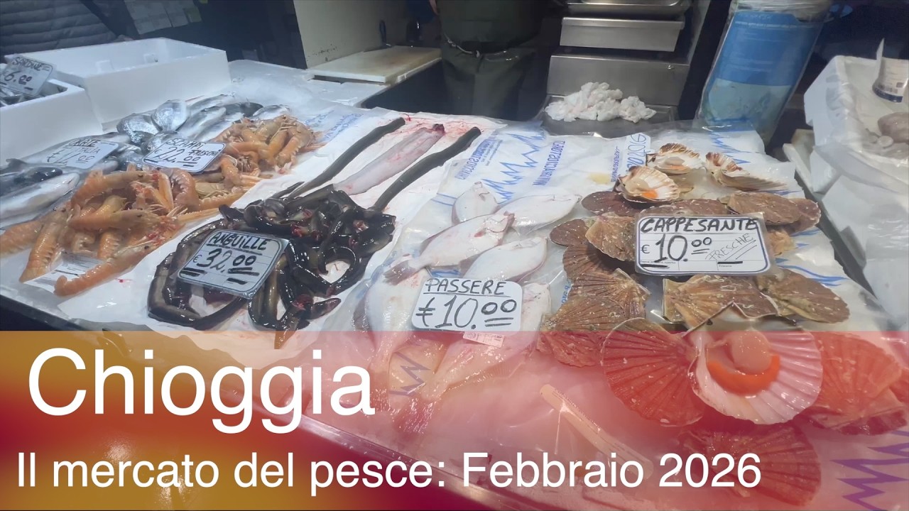 Chioggia e il mercato del pesce , Febbraio 2026